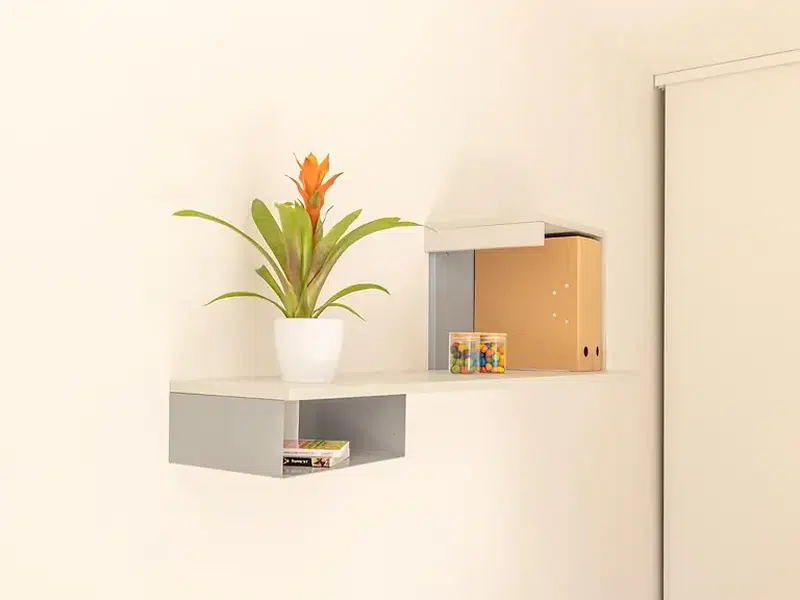 T1 Apartment photo 4