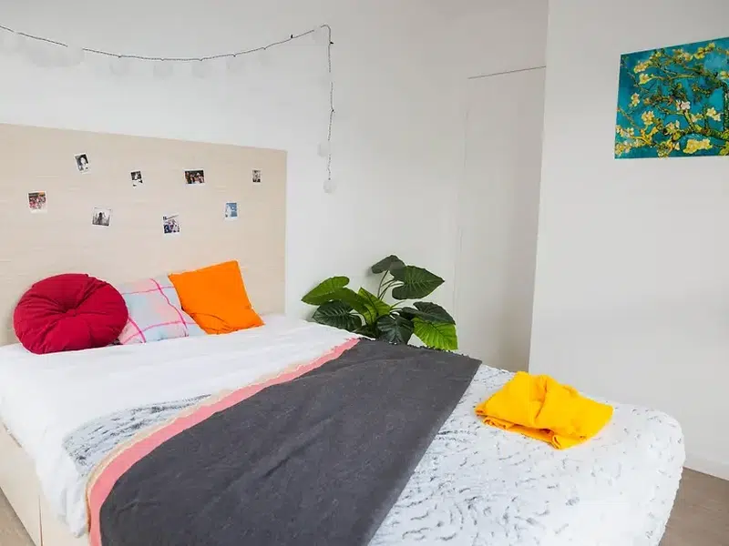 T1 Apartment photo 1