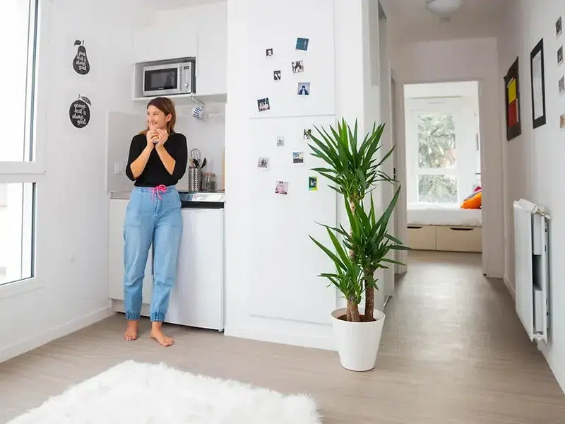 T1 Apartment photo 5