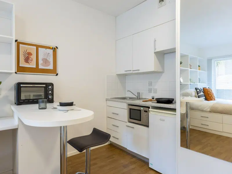 Terraced Penthouse Studio photo 2