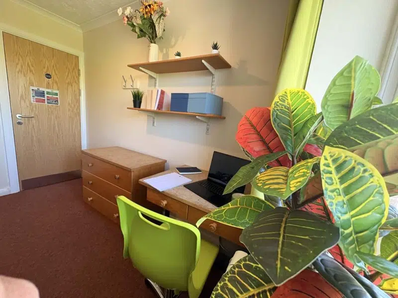 Three Bedroom Classic photo 6