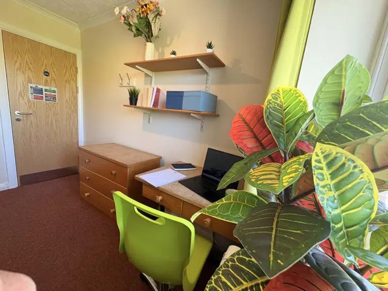 Three Bedroom Classic photo 4