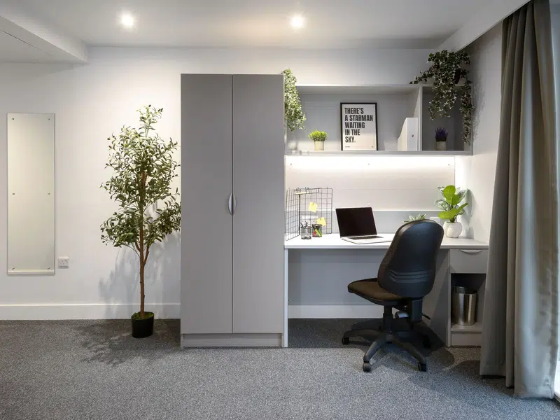 true Accessible Studio photo 4