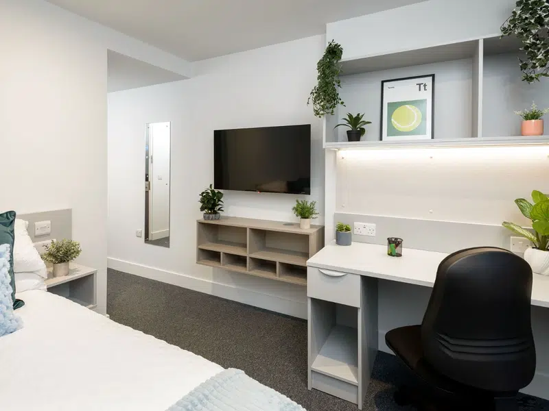 true Apartment photo 3