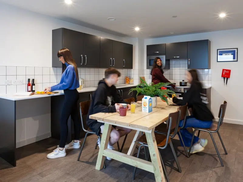 true Apartment photo 2