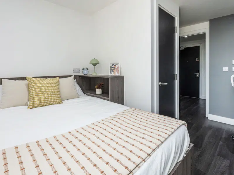 Duplex Studio photo 1