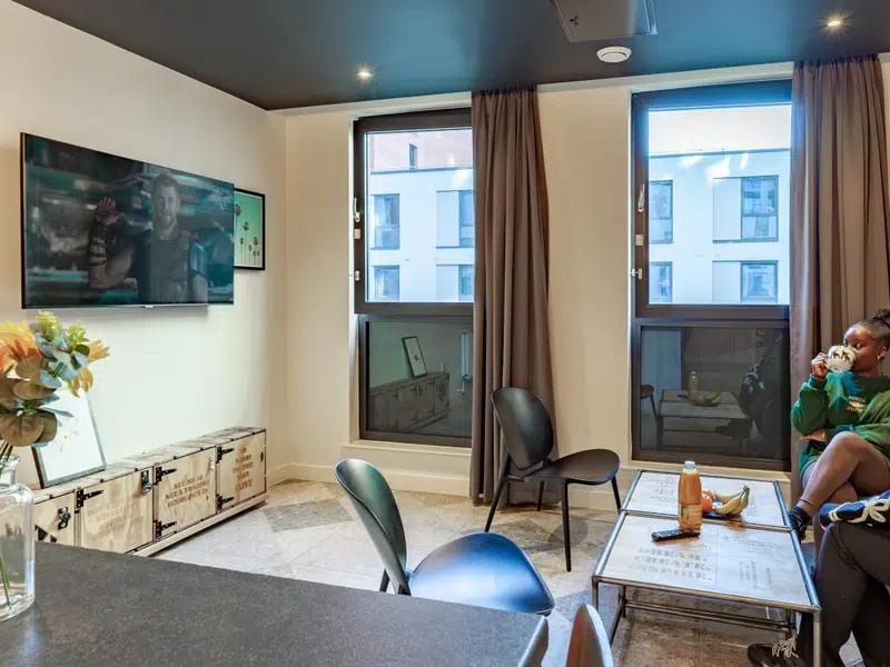 true Premium Apartment photo 4