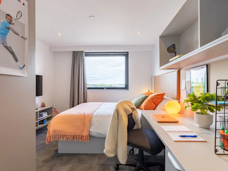 true Apartment Plus photo 1