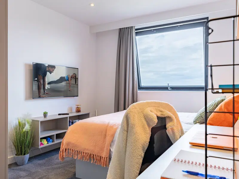 true Apartment Plus photo 3