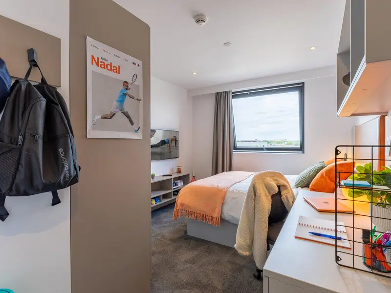 true Apartment Plus photo 6