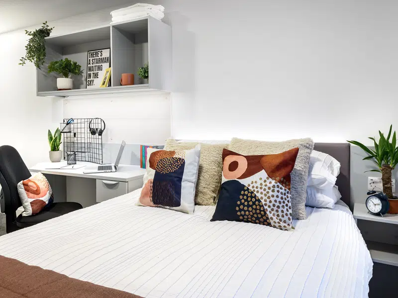 true Apartment photo 3