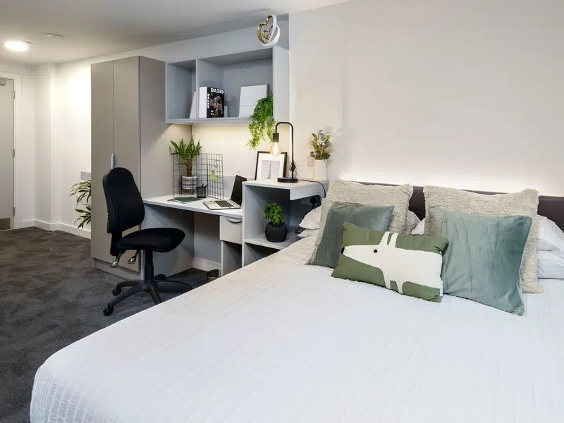 True Studio Plus photo 4