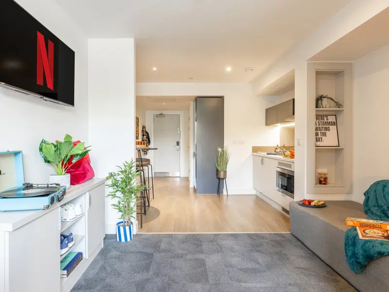 true Premium Studio with City Views photo 2