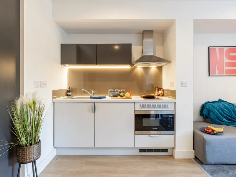 true Premium Studio with City Views photo 3
