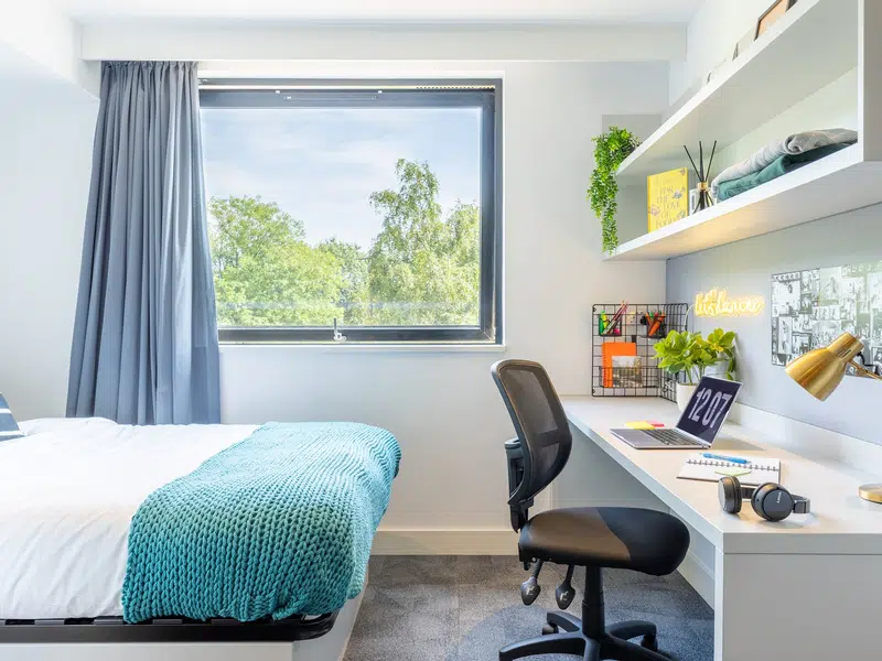 true Premium Studio with City Views photo 4