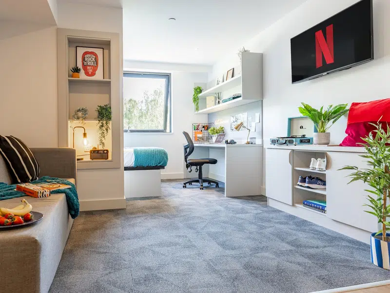 true Premium Studio with City Views photo 5