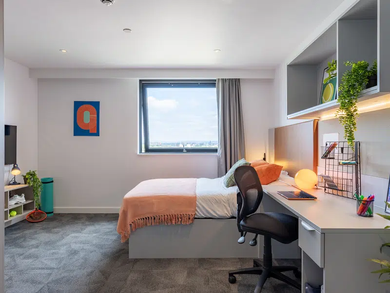 true Superior Apartment Plus photo 1