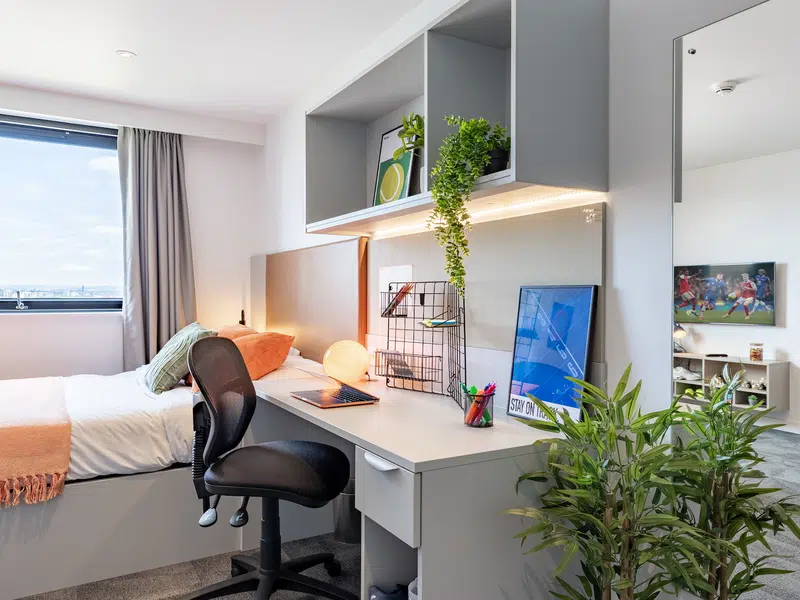 true Superior Apartment Plus photo 3