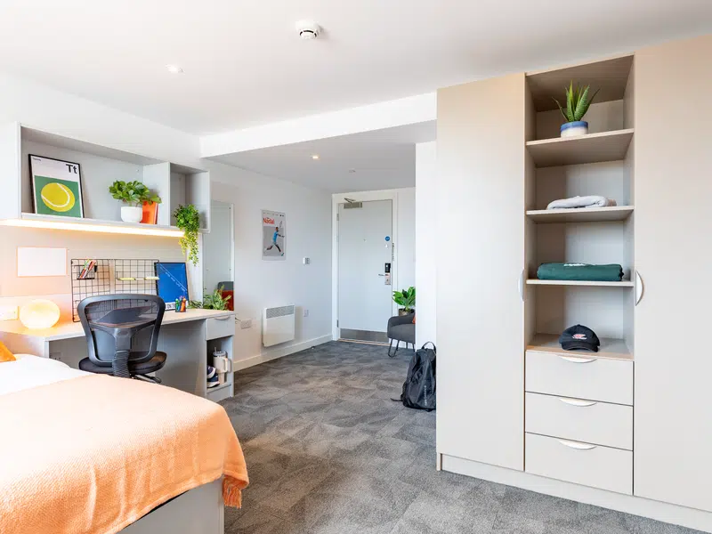 true Superior Apartment Plus photo 4