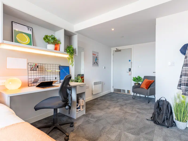 true Superior Apartment Plus photo 5