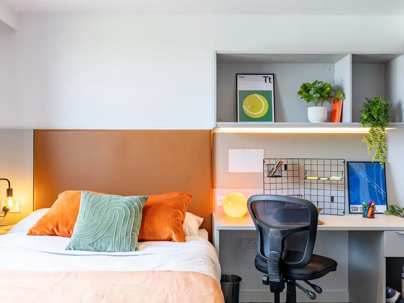 true Superior Apartment Plus photo 6