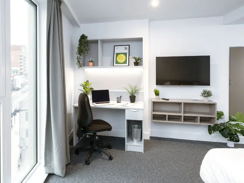 true Superior Apartment photo 3