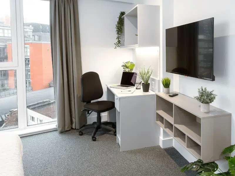 true Superior Apartment photo 4