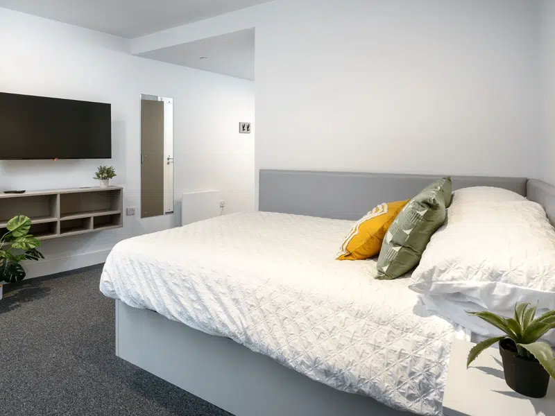 true Superior Apartment photo 2