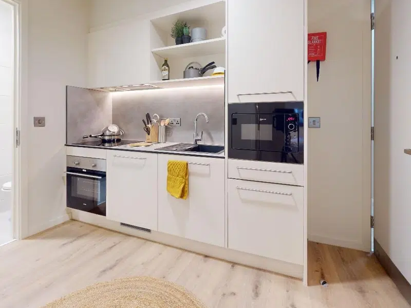 Silver 3 Bed Apartment Plus photo 4