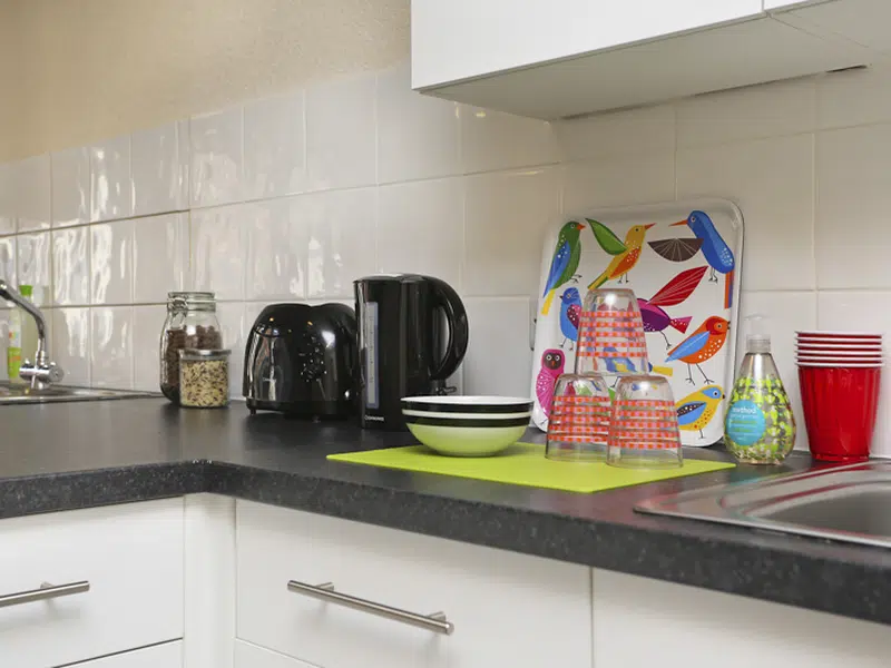 Two Bedroom Apartments photo 6