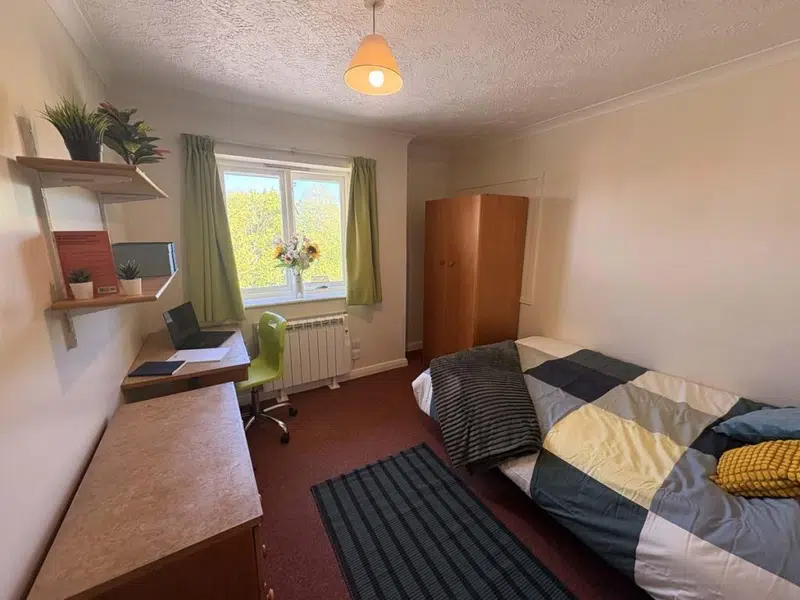 Two Bedroom Deluxe photo 4