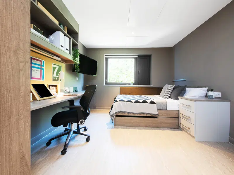 Gold Studio photo 1