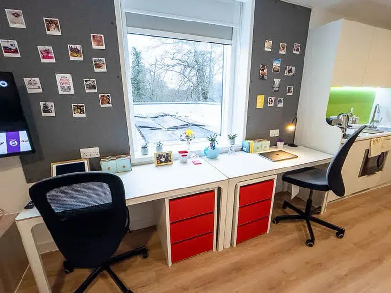 VIP Plus Studio photo 4